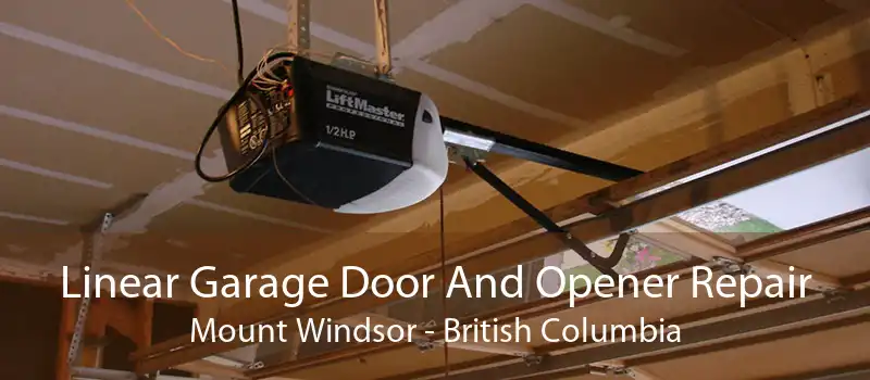 Linear Garage Door And Opener Repair Mount Windsor - British Columbia