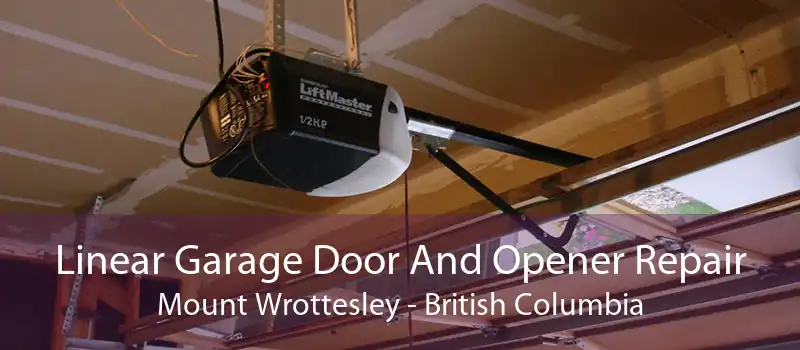 Linear Garage Door And Opener Repair Mount Wrottesley - British Columbia