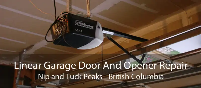 Linear Garage Door And Opener Repair Nip and Tuck Peaks - British Columbia