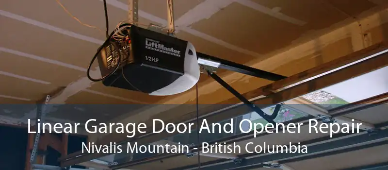 Linear Garage Door And Opener Repair Nivalis Mountain - British Columbia