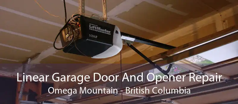 Linear Garage Door And Opener Repair Omega Mountain - British Columbia