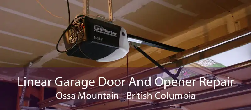 Linear Garage Door And Opener Repair Ossa Mountain - British Columbia