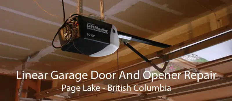 Linear Garage Door And Opener Repair Page Lake - British Columbia