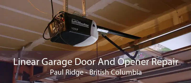 Linear Garage Door And Opener Repair Paul Ridge - British Columbia