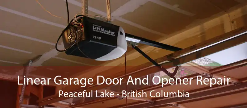 Linear Garage Door And Opener Repair Peaceful Lake - British Columbia