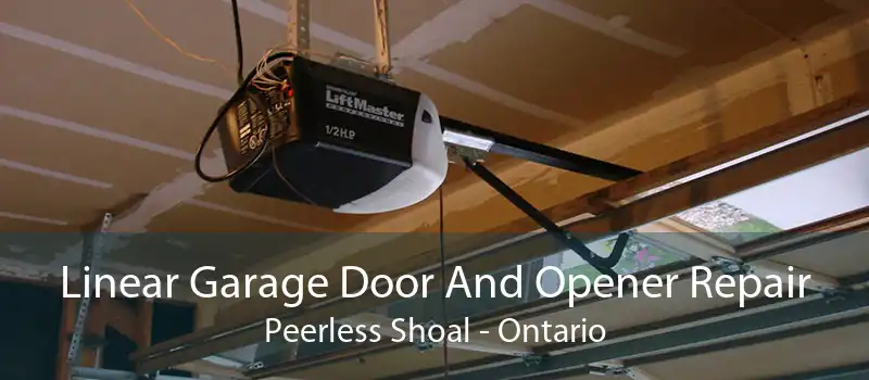 Linear Garage Door And Opener Repair Peerless Shoal - Ontario