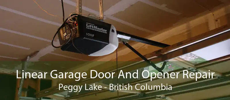 Linear Garage Door And Opener Repair Peggy Lake - British Columbia