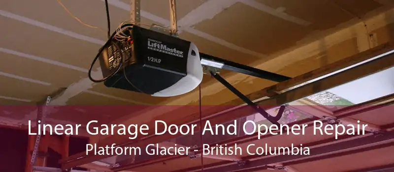 Linear Garage Door And Opener Repair Platform Glacier - British Columbia