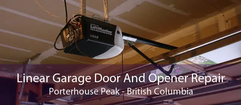 Linear Garage Door And Opener Repair Porterhouse Peak - British Columbia