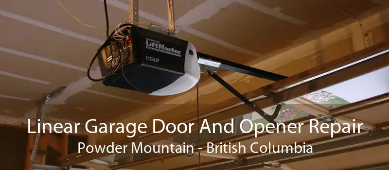 Linear Garage Door And Opener Repair Powder Mountain - British Columbia
