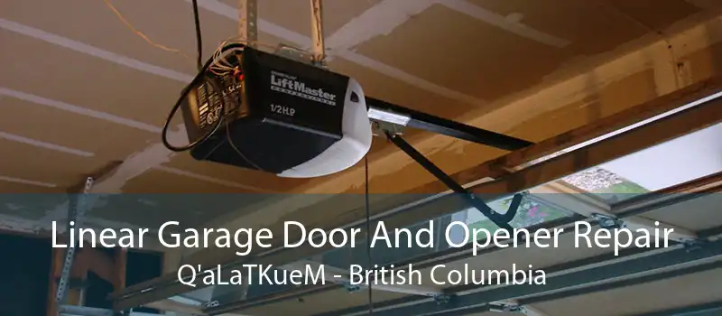 Linear Garage Door And Opener Repair Q'aLaTKueM - British Columbia