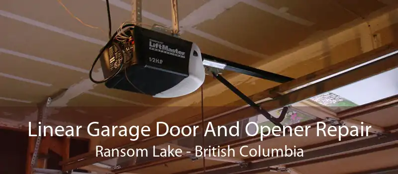 Linear Garage Door And Opener Repair Ransom Lake - British Columbia