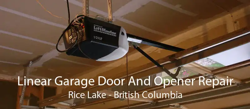 Linear Garage Door And Opener Repair Rice Lake - British Columbia