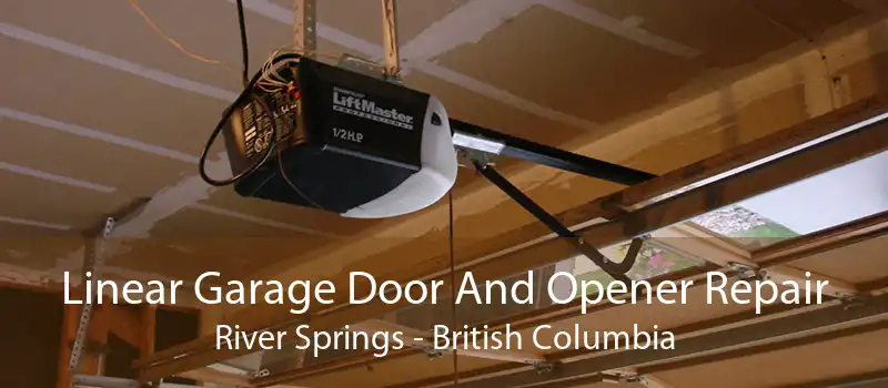 Linear Garage Door And Opener Repair River Springs - British Columbia