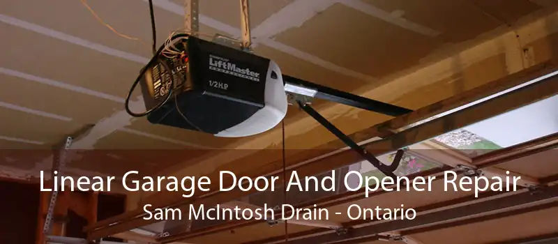 Linear Garage Door And Opener Repair Sam McIntosh Drain - Ontario