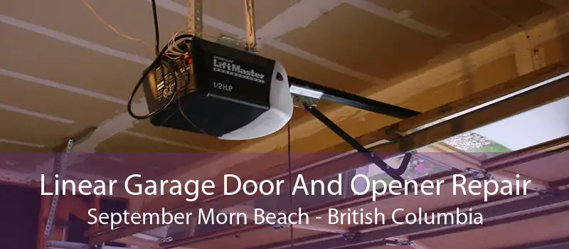 Linear Garage Door And Opener Repair September Morn Beach - British Columbia