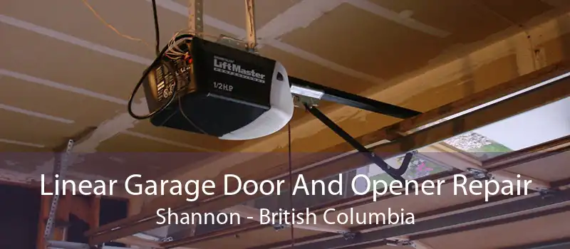 Linear Garage Door And Opener Repair Shannon - British Columbia