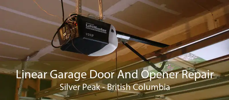 Linear Garage Door And Opener Repair Silver Peak - British Columbia