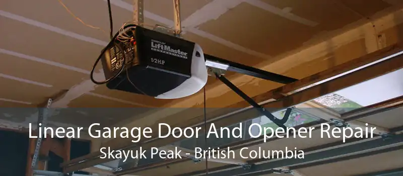 Linear Garage Door And Opener Repair Skayuk Peak - British Columbia