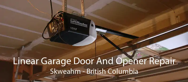 Linear Garage Door And Opener Repair Skweahm - British Columbia