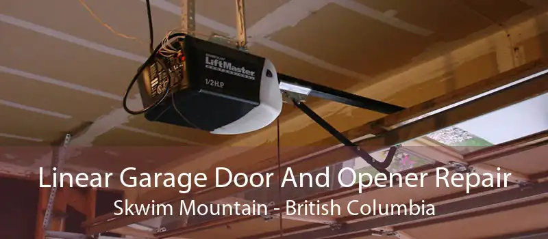 Linear Garage Door And Opener Repair Skwim Mountain - British Columbia