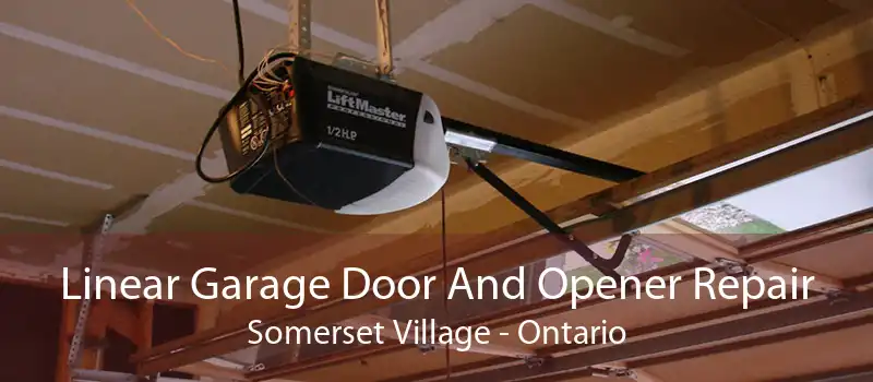 Linear Garage Door And Opener Repair Somerset Village - Ontario