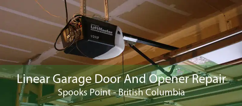 Linear Garage Door And Opener Repair Spooks Point - British Columbia