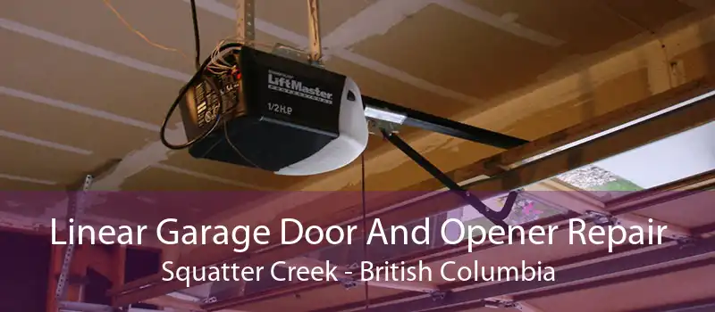 Linear Garage Door And Opener Repair Squatter Creek - British Columbia