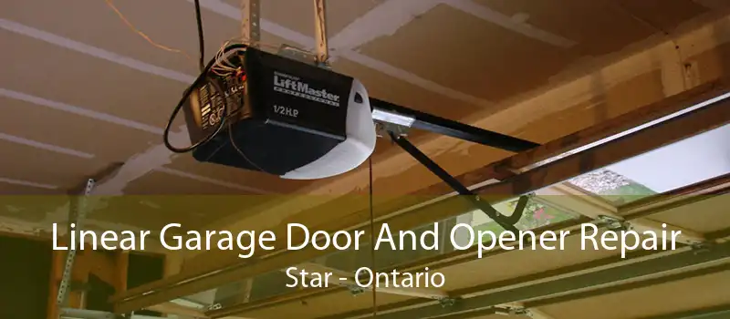 Linear Garage Door And Opener Repair Star - Ontario