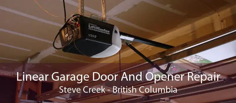 Linear Garage Door And Opener Repair Steve Creek - British Columbia
