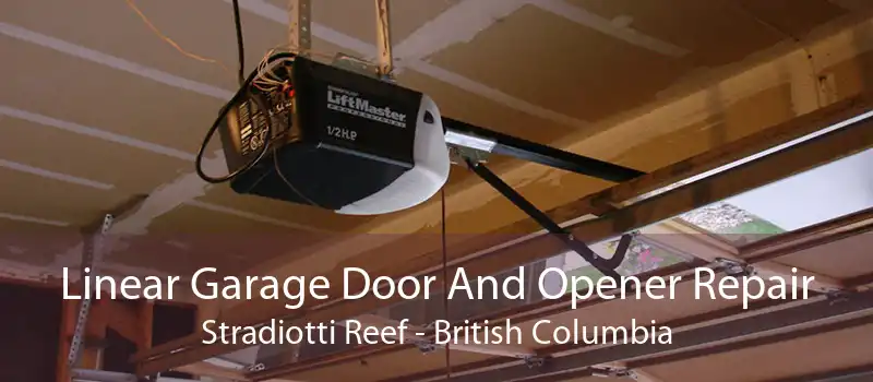 Linear Garage Door And Opener Repair Stradiotti Reef - British Columbia