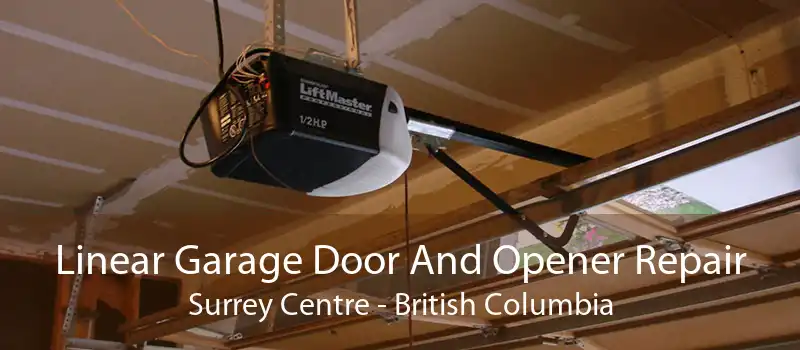 Linear Garage Door And Opener Repair Surrey Centre - British Columbia
