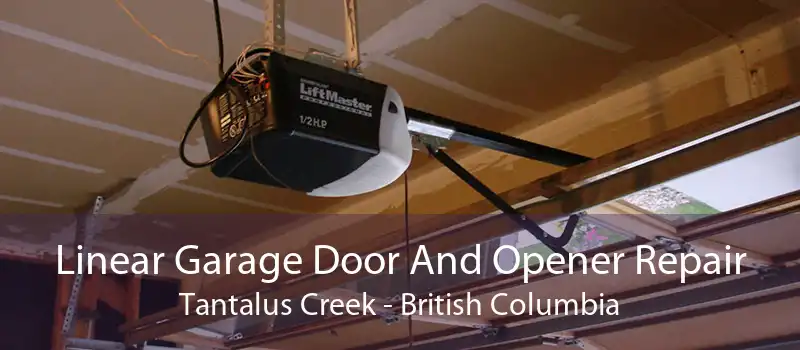 Linear Garage Door And Opener Repair Tantalus Creek - British Columbia