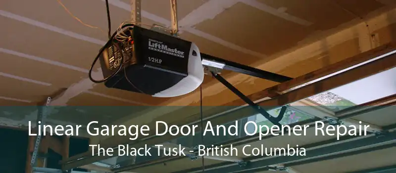 Linear Garage Door And Opener Repair The Black Tusk - British Columbia