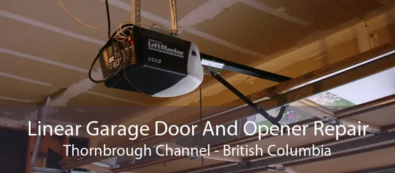 Linear Garage Door And Opener Repair Thornbrough Channel - British Columbia