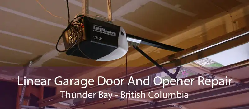 Linear Garage Door And Opener Repair Thunder Bay - British Columbia