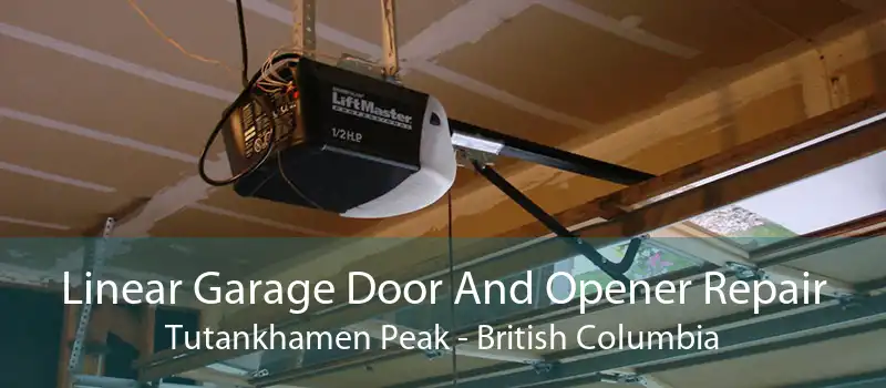 Linear Garage Door And Opener Repair Tutankhamen Peak - British Columbia
