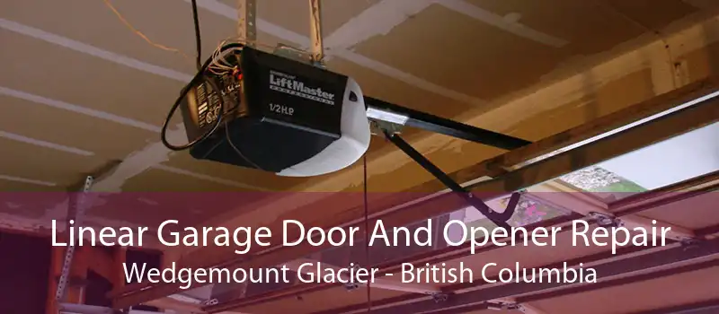 Linear Garage Door And Opener Repair Wedgemount Glacier - British Columbia