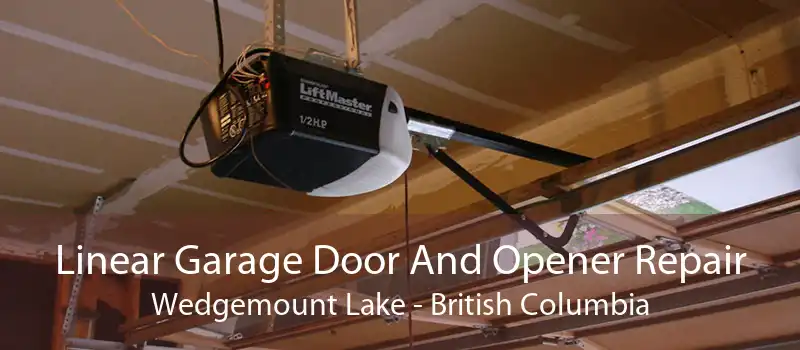 Linear Garage Door And Opener Repair Wedgemount Lake - British Columbia