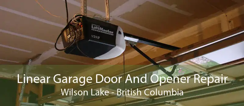 Linear Garage Door And Opener Repair Wilson Lake - British Columbia