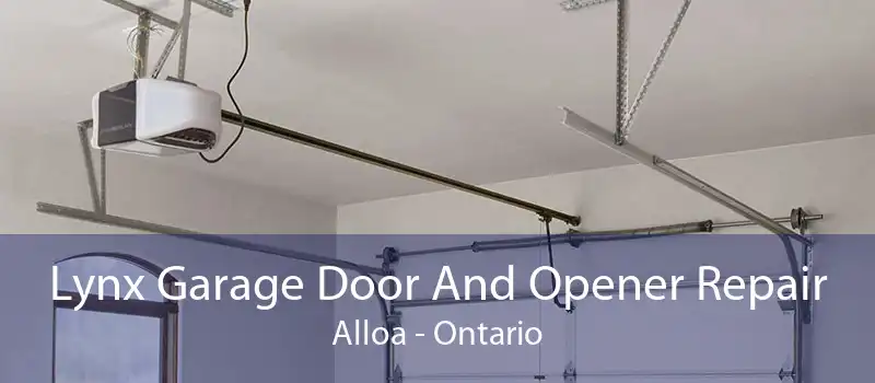 Lynx Garage Door And Opener Repair Alloa - Ontario
