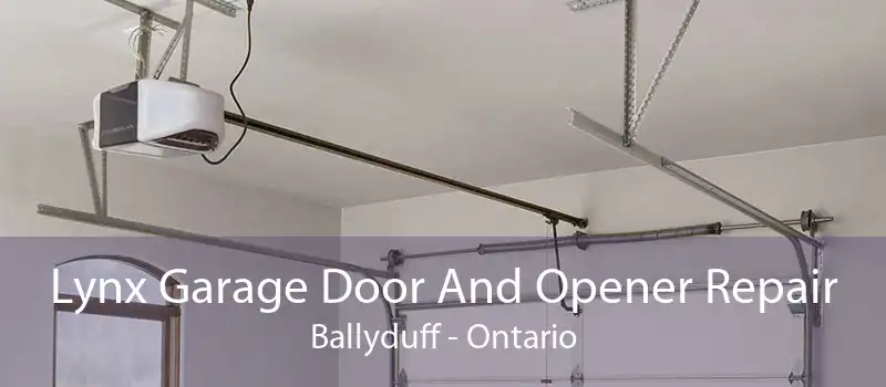 Lynx Garage Door And Opener Repair Ballyduff - Ontario
