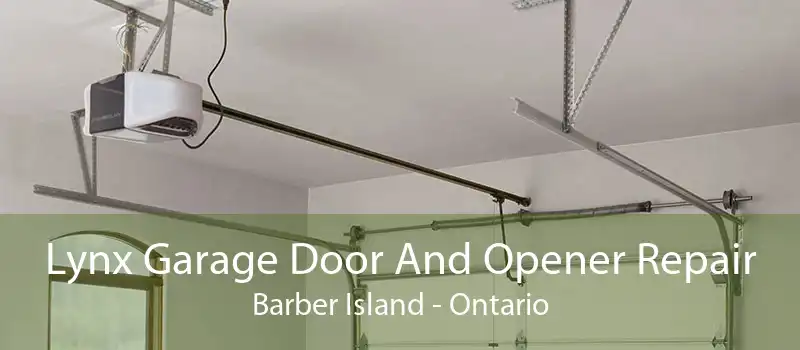 Lynx Garage Door And Opener Repair Barber Island - Ontario