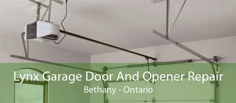 Lynx Garage Door And Opener Repair Bethany - Ontario