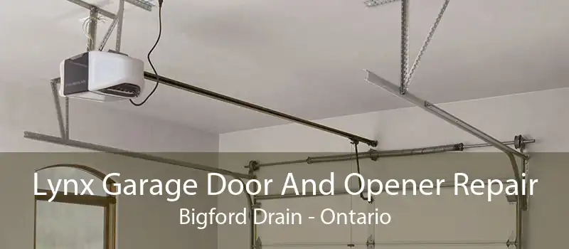 Lynx Garage Door And Opener Repair Bigford Drain - Ontario