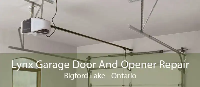 Lynx Garage Door And Opener Repair Bigford Lake - Ontario