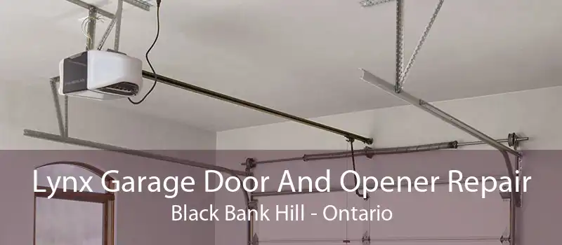Lynx Garage Door And Opener Repair Black Bank Hill - Ontario