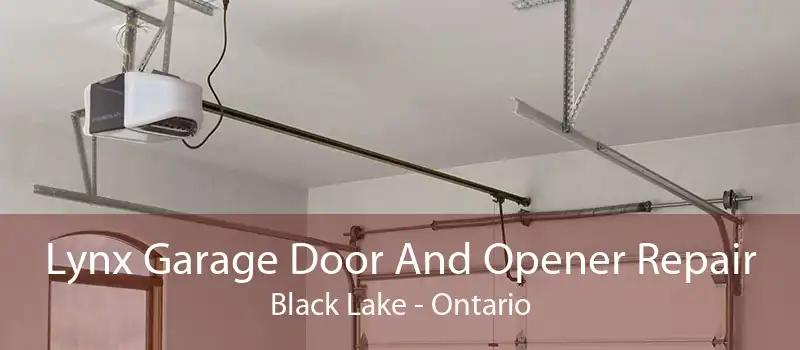Lynx Garage Door And Opener Repair Black Lake - Ontario