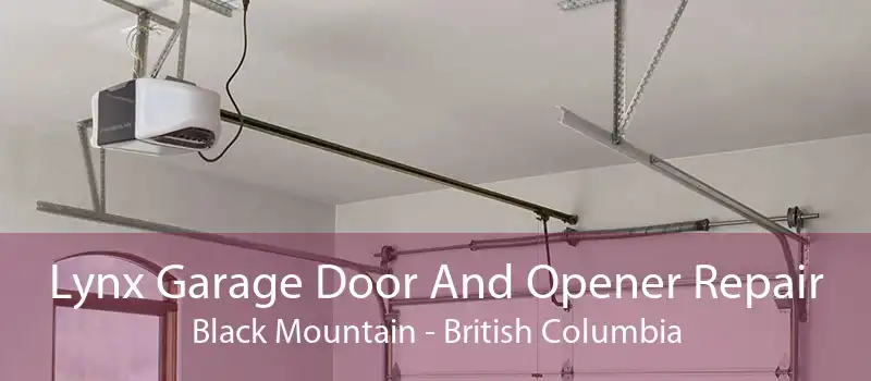 Lynx Garage Door And Opener Repair Black Mountain - British Columbia