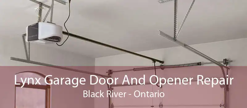 Lynx Garage Door And Opener Repair Black River - Ontario